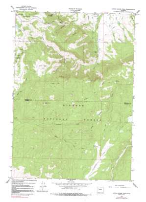 Little Goose Peak USGS topographic map 44107e1