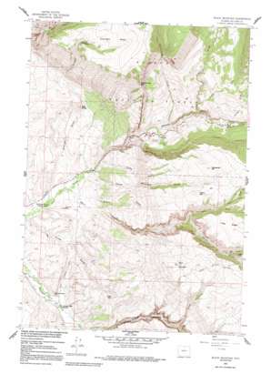 Black Mountain USGS topographic map 44107e6