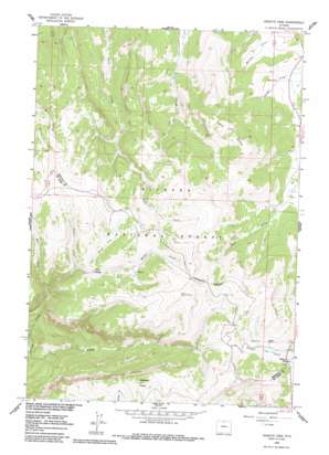 Granite Pass USGS topographic map 44107f5