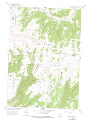 Granite Pass USGS topographic map 44107f6