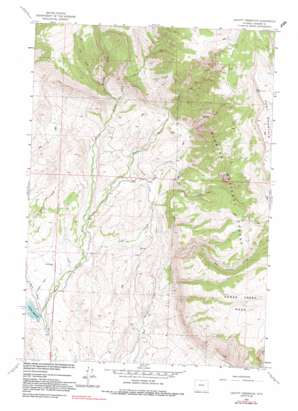 Leavitt Reservoir topo map