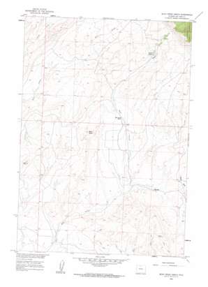 Bear Creek Ranch USGS topographic map 44107f8