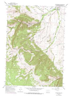 Dayton South USGS topographic map 44107g3