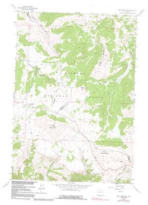 Bald Mountain USGS topographic map 44107g7
