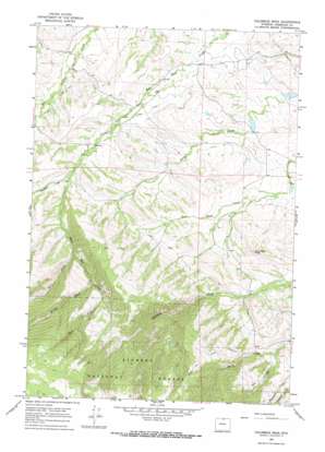 Columbus Peak USGS topographic map 44107h4