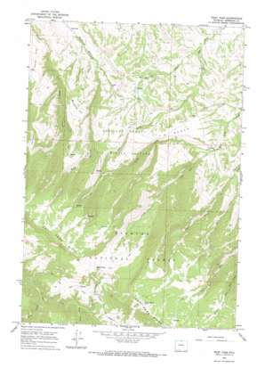 West Pass USGS topographic map 44107h5