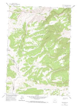 Boyd Ridge USGS topographic map 44107h7