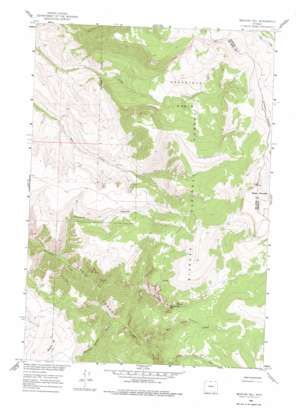 Mexican Hill topo map