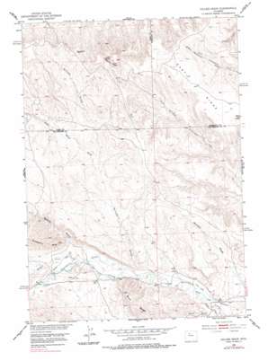 Gillies Draw topo map