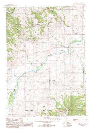 Twin Creek topo map