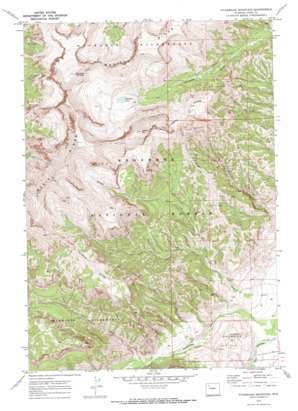 Ptarmigan Mountain USGS topographic map 44109c5