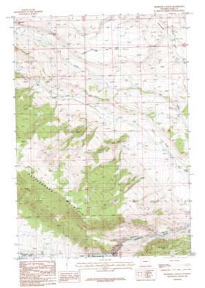 Shoshone Canyon topo map