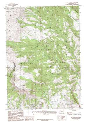 Jim Mountain topo map