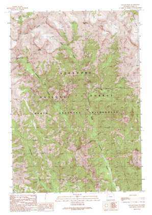 Jaggar Peak USGS topographic map 44109e6