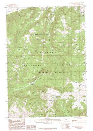 Dead Indian Meadows USGS topographic map 44109f4