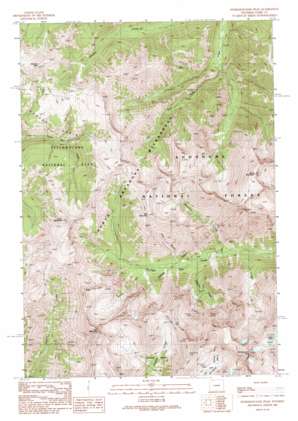 Stinkingwater Peak USGS topographic map 44109f7