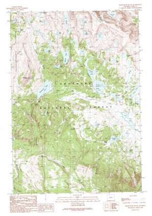 Beartooth Butte topo map
