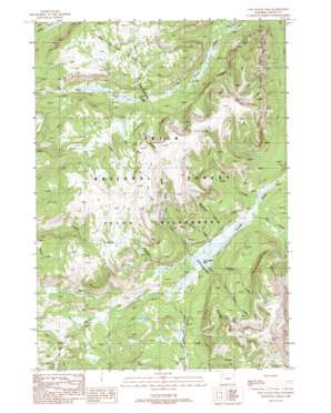 Two Ocean Pass USGS topographic map 44110a2