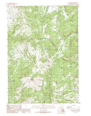 Gravel Peak USGS topographic map 44110a3