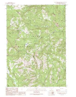 Huckleberry Mountain USGS topographic map 44110a5
