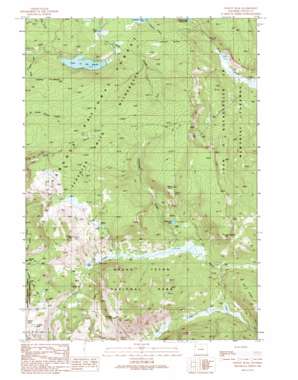 Survey Peak USGS topographic map 44110a7