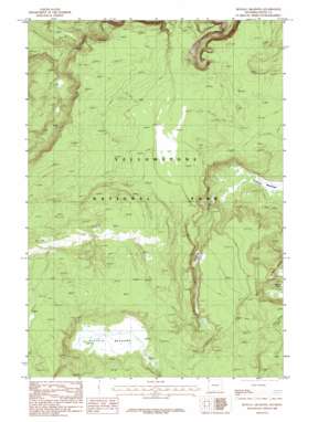 Buffalo Meadows USGS topographic map 44110e8