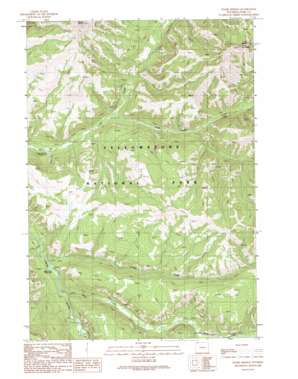 Wahb Springs USGS topographic map 44110g1