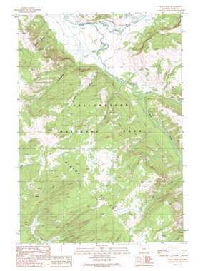 Opal Creek topo map
