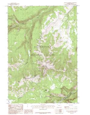 Mount Washburn topo map