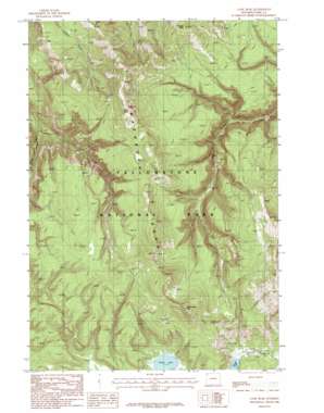 Cook Peak USGS topographic map 44110g5