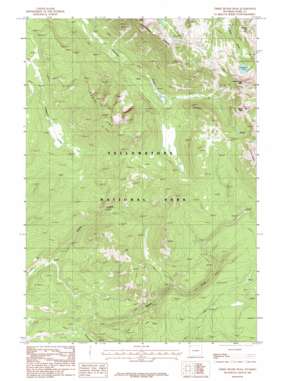 Three Rivers Peak USGS topographic map 44110g8
