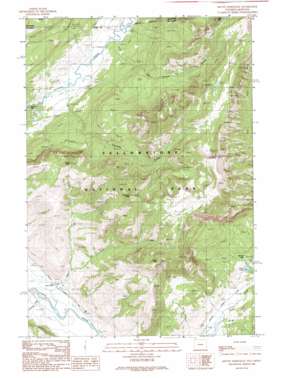 Mount Hornaday USGS topographic map 44110h2