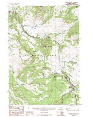 Tower Junction topo map