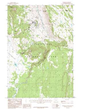 Mammoth USGS topographic map 44110h6