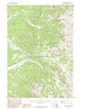 Joseph Peak USGS topographic map 44110h8