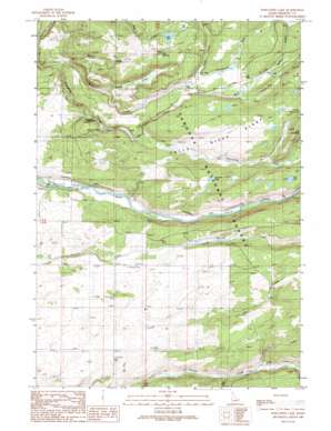 Porcupine Lake USGS topographic map 44111a2
