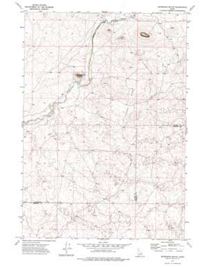 Snowshoe Butte USGS topographic map 44111b8