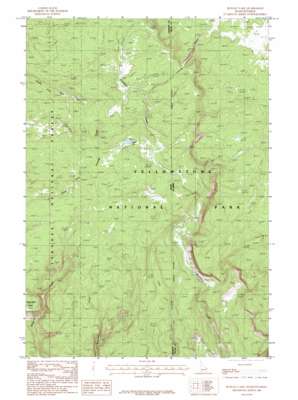 Buffalo Lake topo map