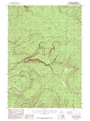 Big Grassy USGS topographic map 44111c2