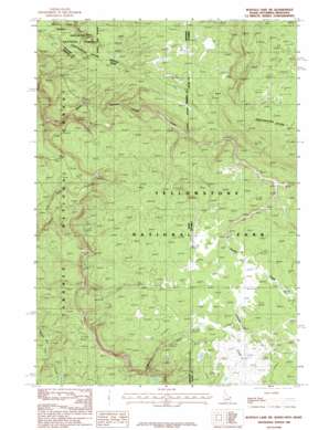 Buffalo Lake NE USGS topographic map 44111d1