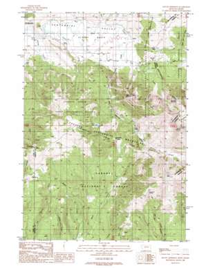 Mount Jefferson USGS topographic map 44111e5