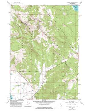 Targhee Pass USGS topographic map 44111f3