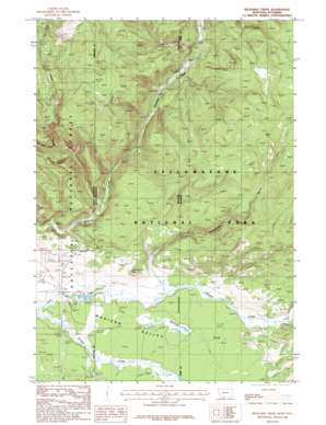 Richards Creek topo map