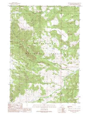Freezeout Mountain USGS topographic map 44111g6