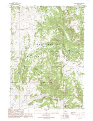 Windy Hill USGS topographic map 44111g7
