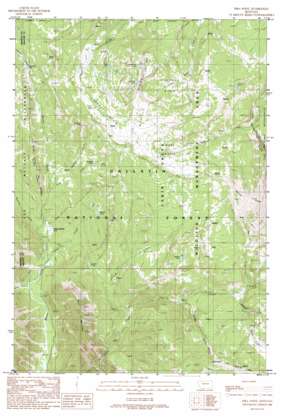 Pika Point USGS topographic map 44111h3