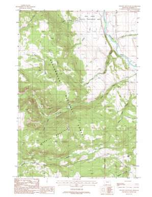 Granite Mountain USGS topographic map 44111h6