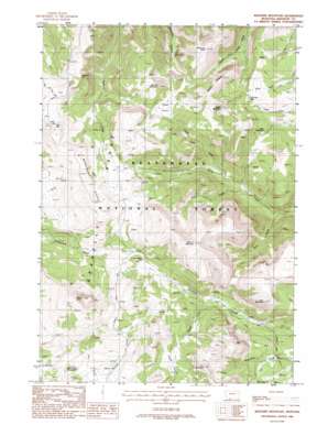 Big Horn Mountain USGS topographic map 44111h7