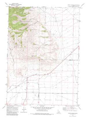 Snaky Canyon USGS topographic map 44112a6