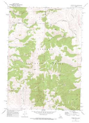 Copper Mountain USGS topographic map 44112b7